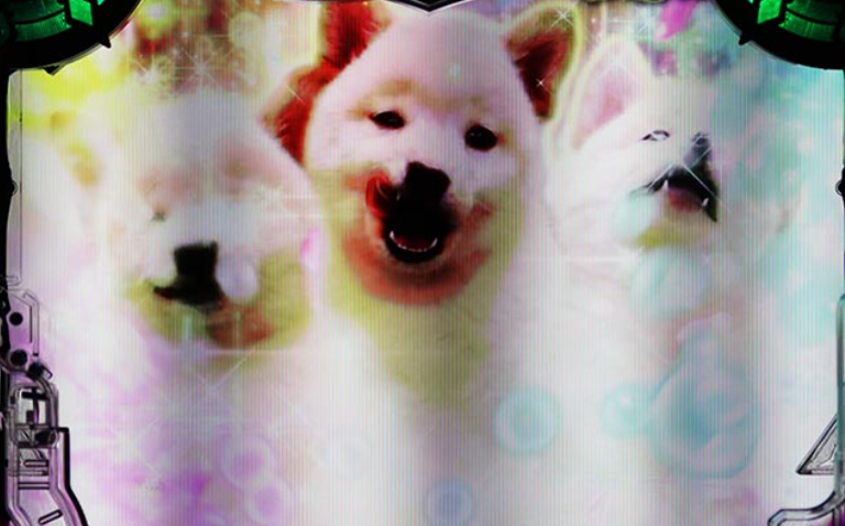 ハーデス獄炎_実写ケルベロス予告