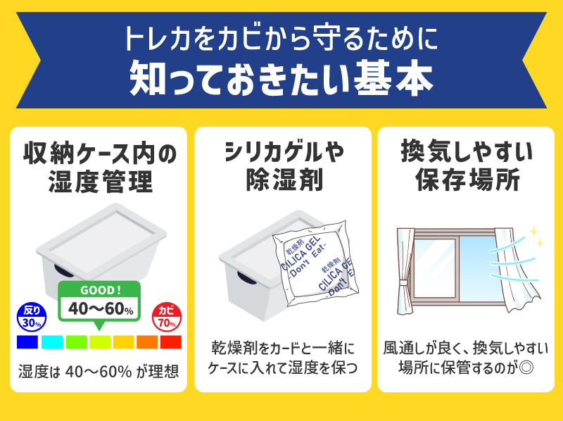 トレカをカビから守るために知っておきたい基本